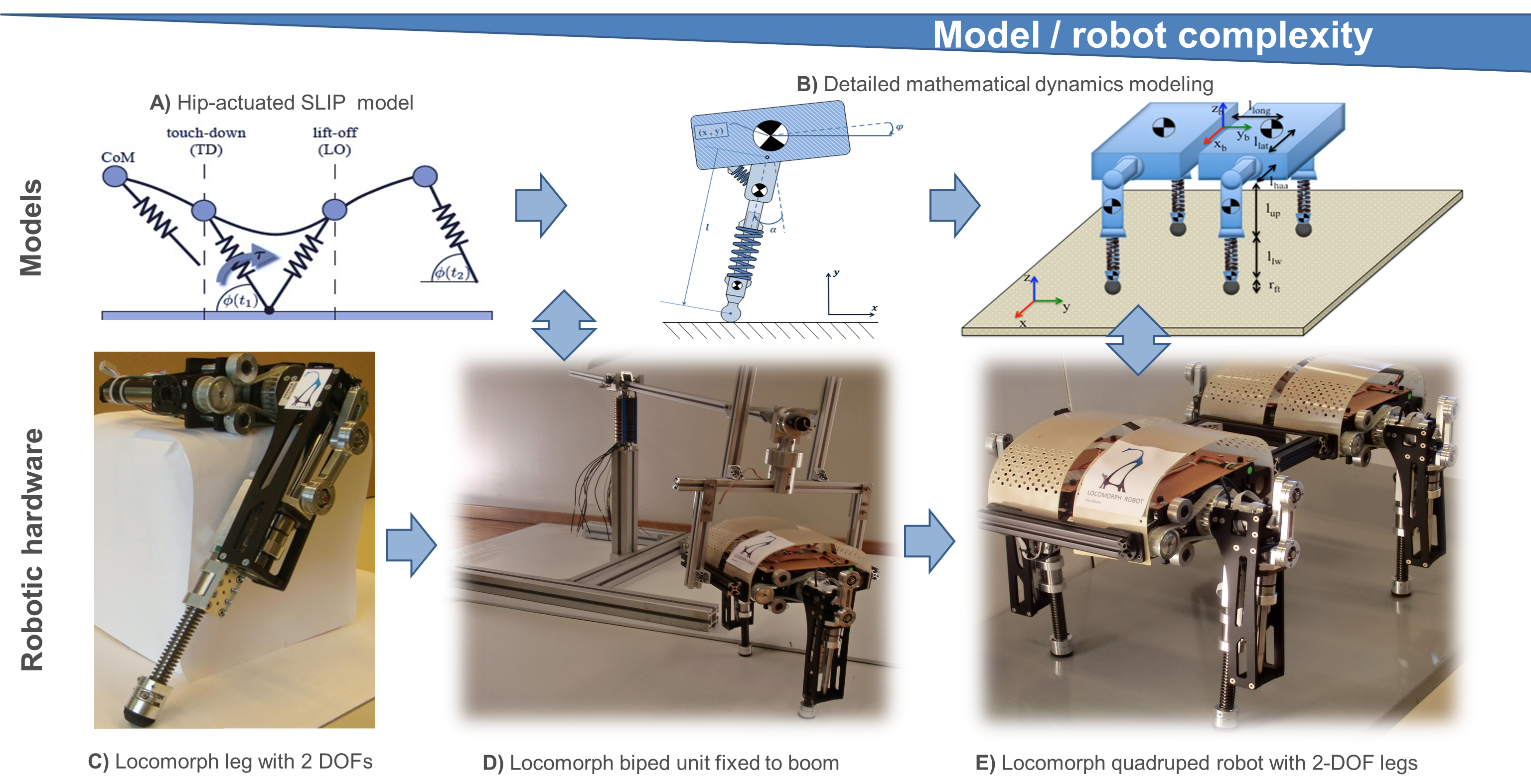 The step-wise process of developing theoretical models, control and hardware in parallel (from very simplified to very detailed models).